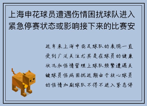 上海申花球员遭遇伤情困扰球队进入紧急停赛状态或影响接下来的比赛安排