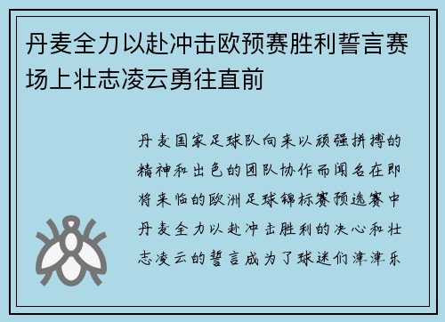 丹麦全力以赴冲击欧预赛胜利誓言赛场上壮志凌云勇往直前